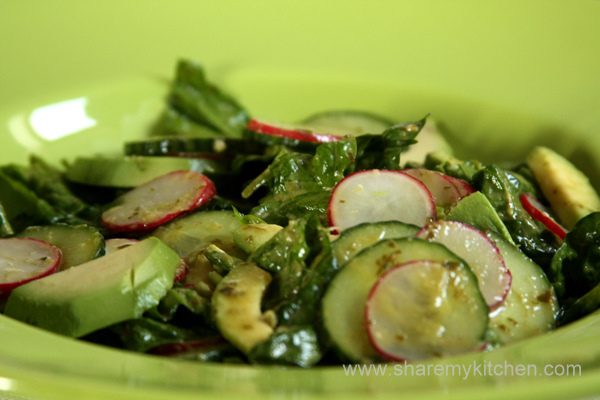 baby-spinach-and-avocado-with-radishes-and-lemon-caper-dressing-4753337