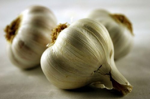 livetoeat-megha-blogspot-com-garlic-ok-8550299