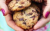 chocolate-chunks-cookies-1-thumb-8116648