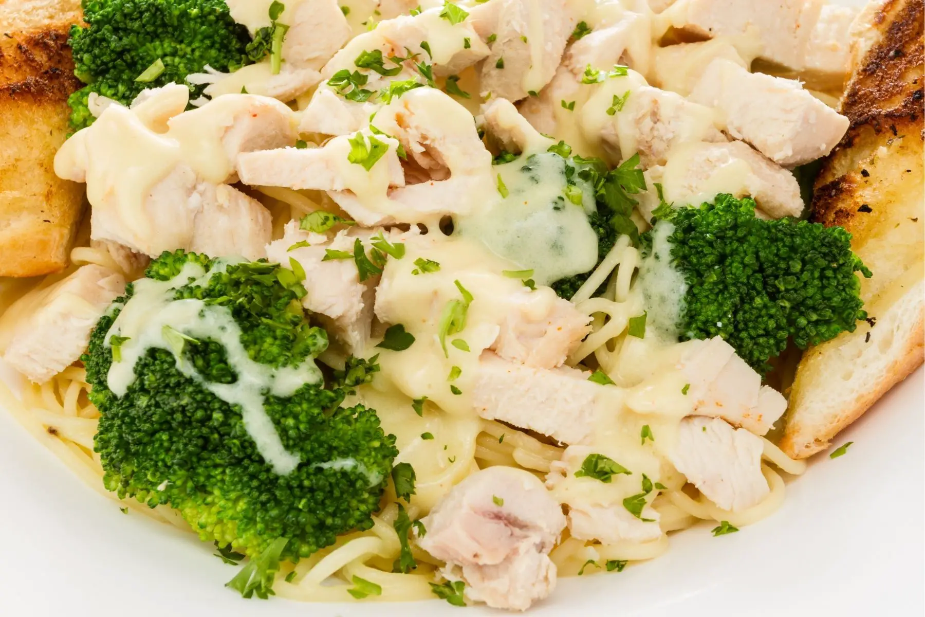 Chicken and Broccoli With Béchamel Sauce