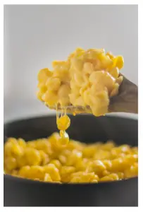 mac n cheese in instant pot