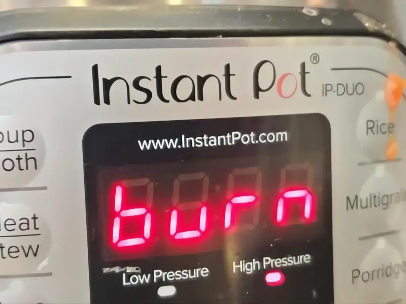 Instant Pot Burnt Liner
