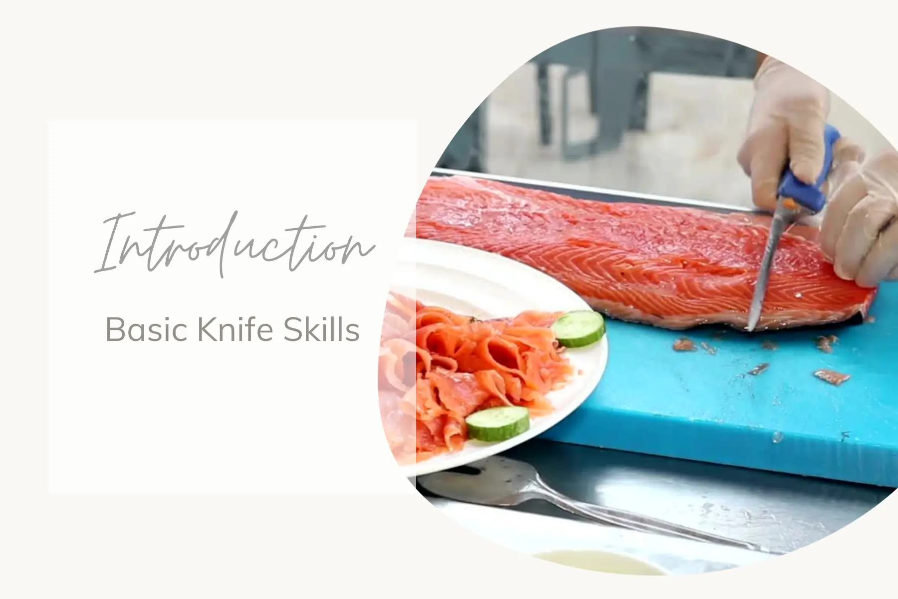 Introduction to Basic Knife Skills