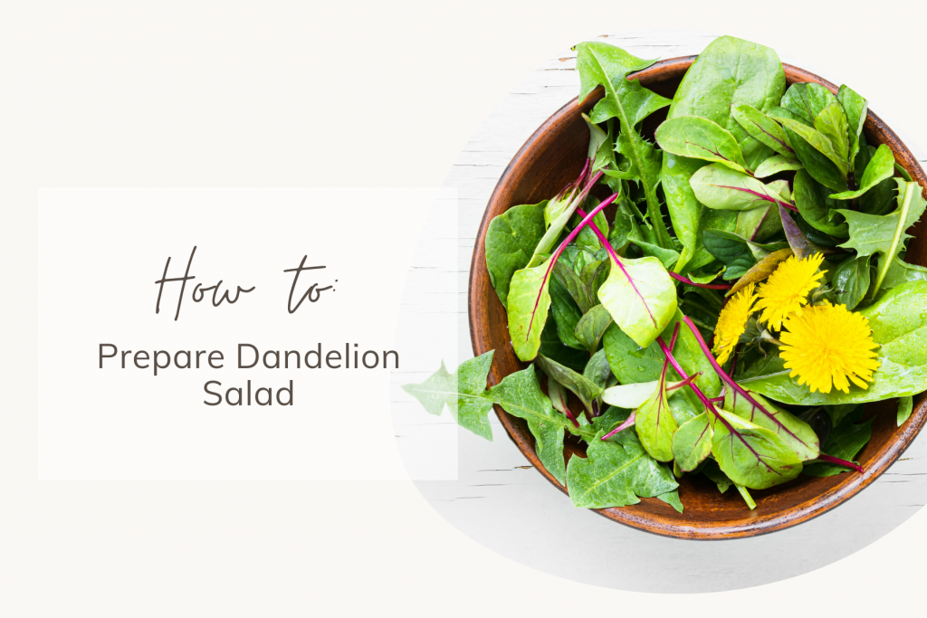 How to Prepare Dandelion Salad