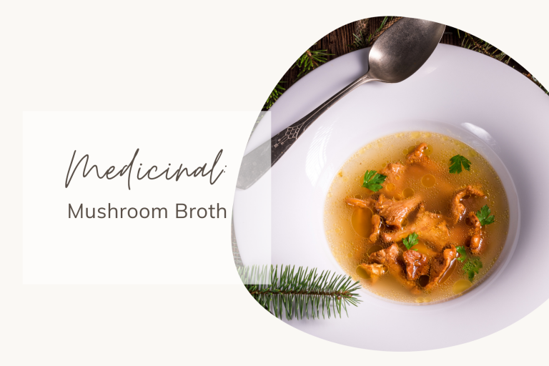 Medicinal Mushroom Broth