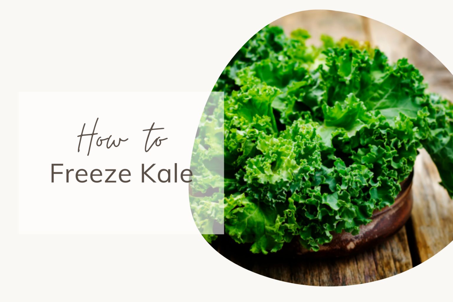 How to Freeze Kale Share My Kitchen