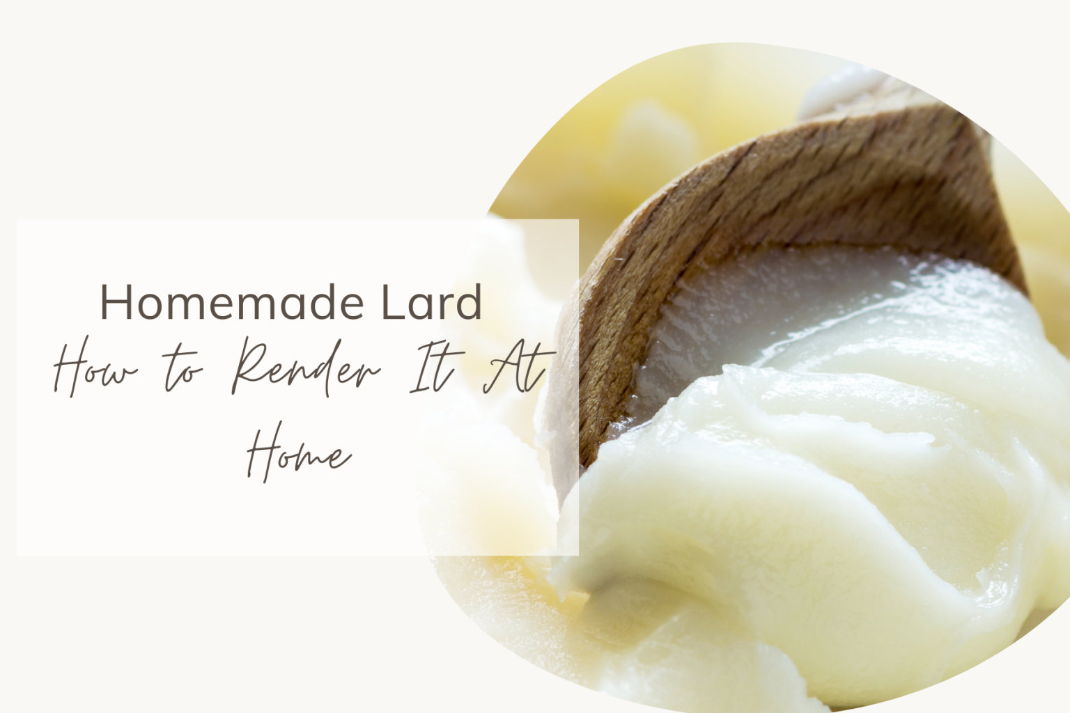 Homemade Lard How to Render It At Home Share My Kitchen