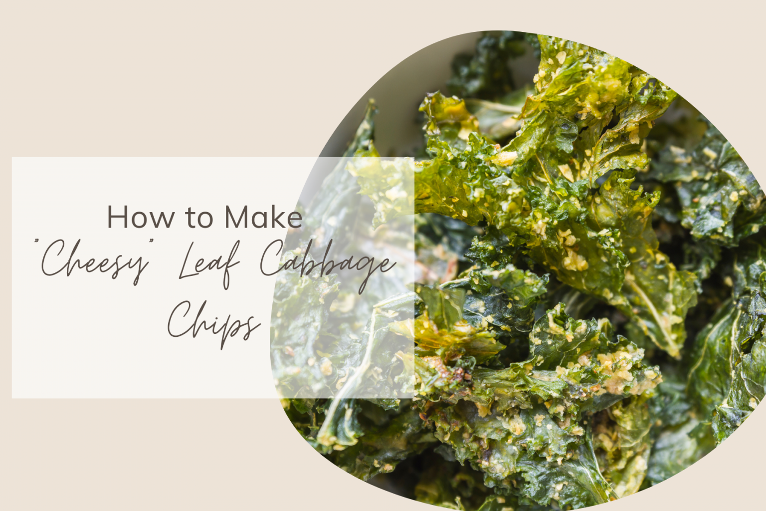 How to Make “Cheesy” Leaf Cabbage Chips Share My Kitchen