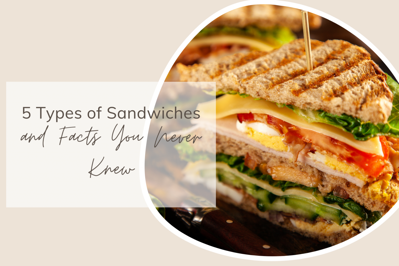 5 Types of Sandwiches and Facts You Never Knew ? – Share My Kitchen