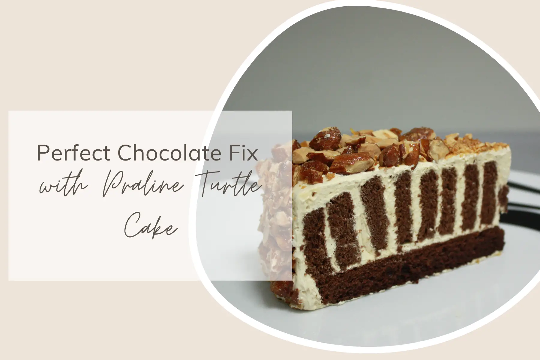 Perfect Chocolate Fix with Praline Turtle Cake