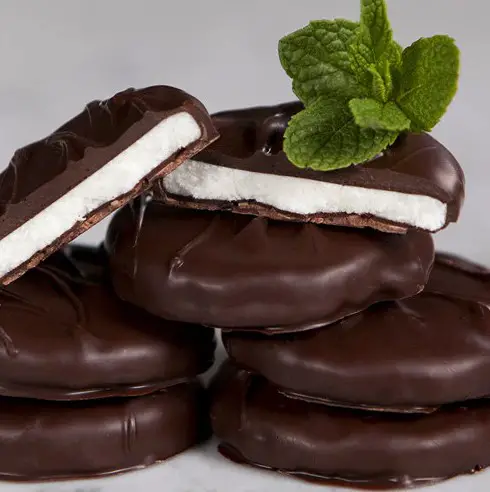 Coconut And Dark Chocolate Peppermint Patties