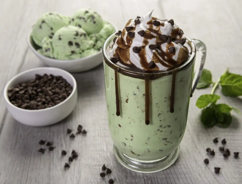 Mint Chocolate Chip Milkshake – Share My Kitchen